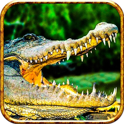 2016 3D Alligator Sniper Attack - Crocodile Wildlife Reload Hunting Simulator icon