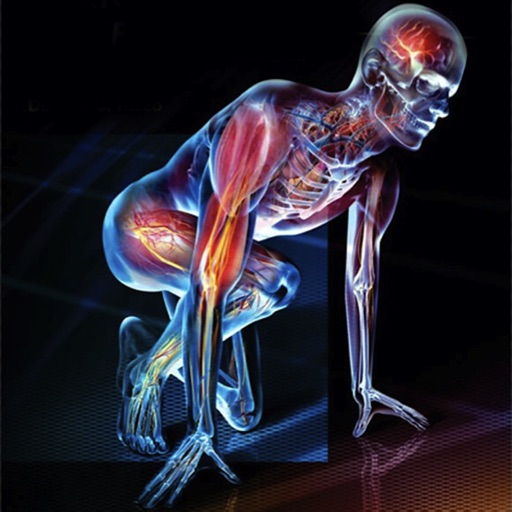 Anatomy & Physiology