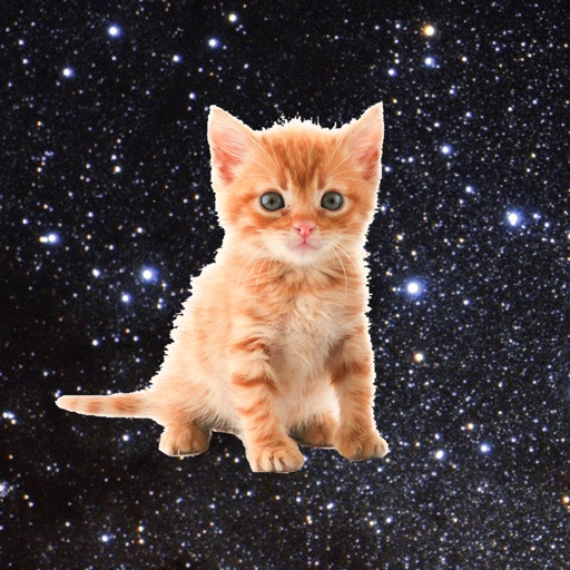 Space Kitties - funny game that makes you save kittens by tapping Icon