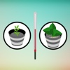 How to Grow Healthy Plants:Maintain Guide and Tips
