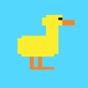 Quacky Duckling