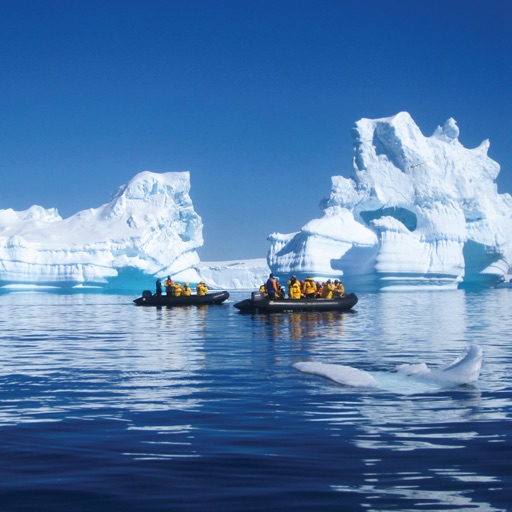 Antarctica Travel Guide:Polar Travel icon