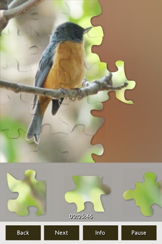 Puzzle Birds screenshot 4