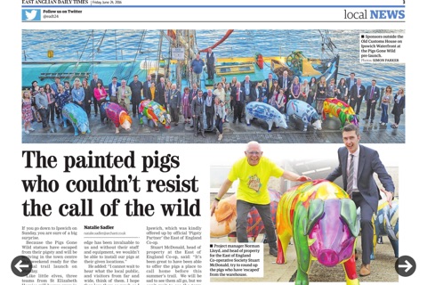 East Anglian Daily Times screenshot 4