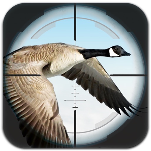 Flying Bird Hunting Icon