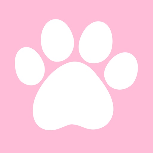 SwiAww – Funny Cat Video Channel icon