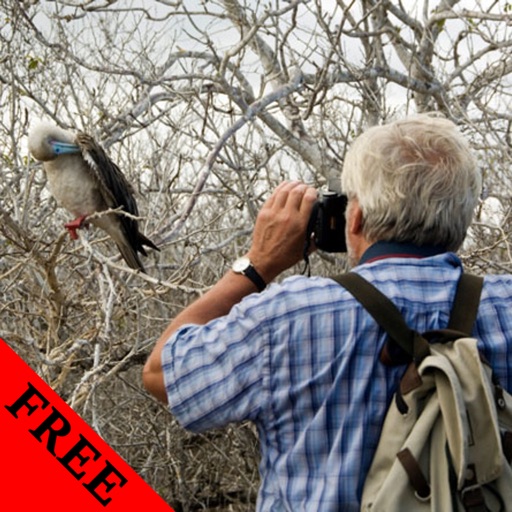 Bird Watching Photos & Videos Gallery FREE icon