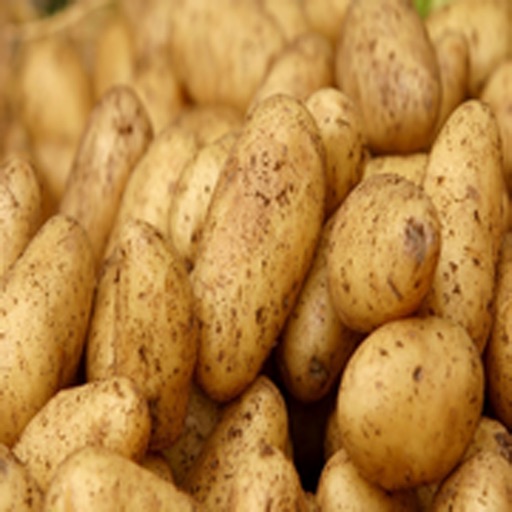 How To Grow Potatoes