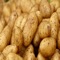 How To Grow Potatoes is an app that includes some helpful information on how to grow potatoes
