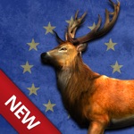 Bow Hunting Europe Wild Animals Hunter  Sport Target Shooting