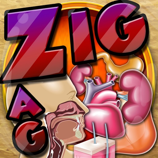 Words Zigzag Search Puzzles Games Pro For Anatomy icon