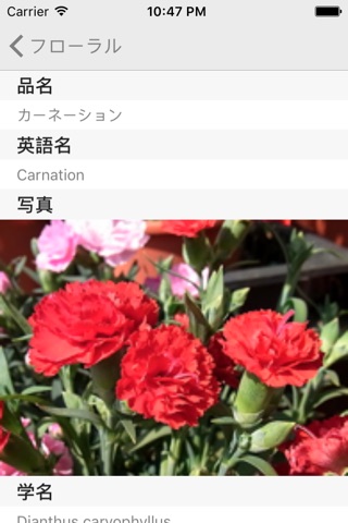 アロマ図鑑 screenshot 4