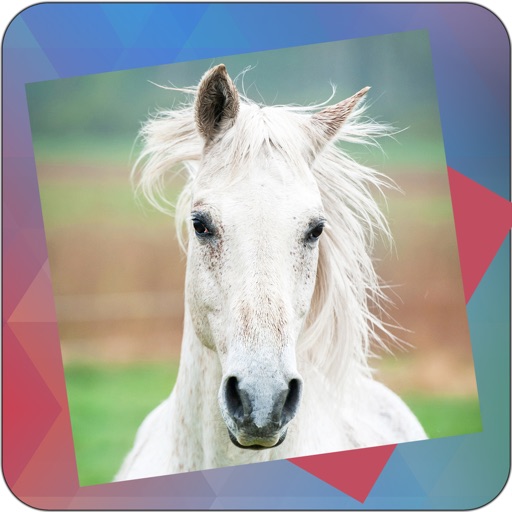 Déjà Vu - Horses iOS App