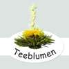 Feelino - Teeblumen, Glaswaren & Geschenksets