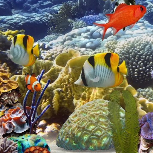 Amazing Aquarium Wallpapers