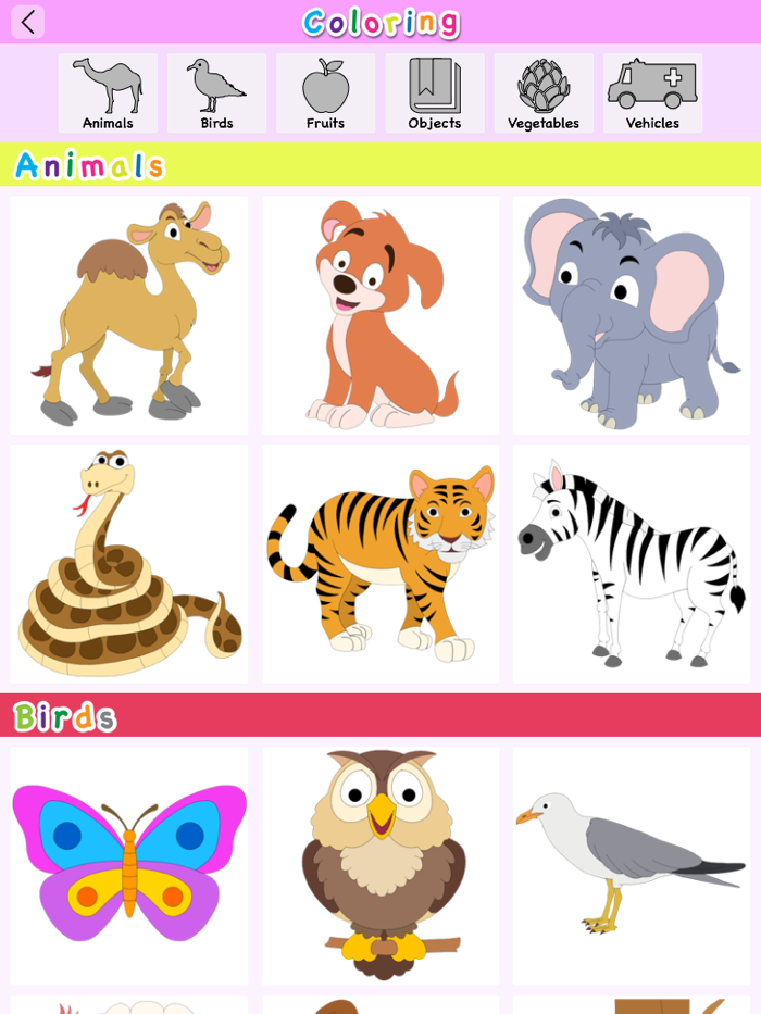 English Alphabets and Numbers