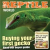 Reptile World Magazine