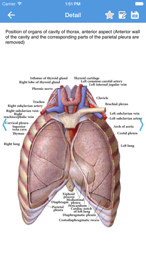 ‎Human Anatomy 2017 Screenshot