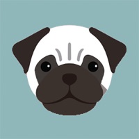 Pug Life HD - PawPapers