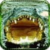 American Alligator Swamp - Black Water Swampy Crocodile Hunter Attack