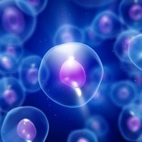 종양학 용어 및 쪽지 : 학습 가이드 및 과정 PC 용