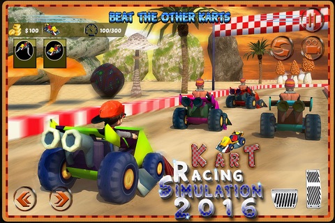 Kart Racing Simulation 3D 2016 screenshot 2