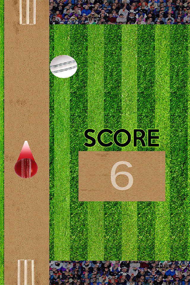 Bing Bong Cricket screenshot 2