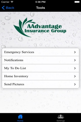 AAdvantage Insurance Group screenshot 2