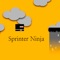 Sprinter Ninja