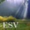 Psalm Daily Quotes - Taken from the English Standard Version