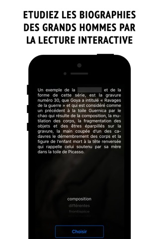 Goya - interactive biography screenshot 2