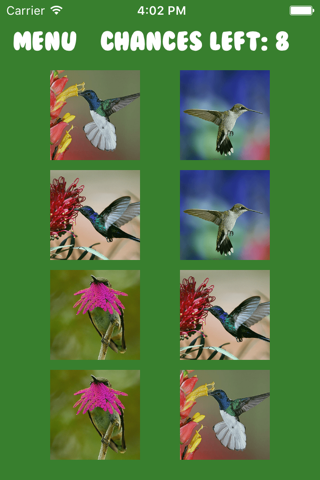 Birds Memory Puzzle screenshot 3