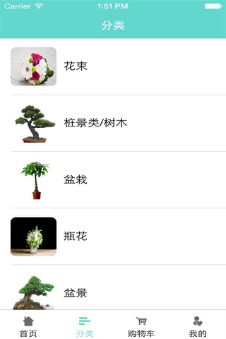 广西花卉 screenshot 4