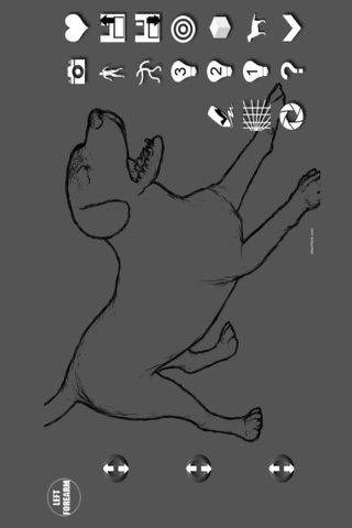 Labrador Pose Tool 3D screenshot 4
