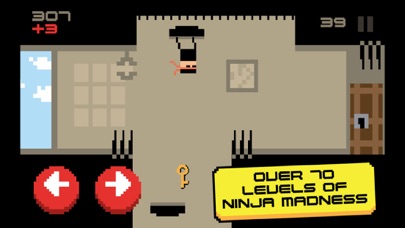 Ninja Madness Screenshot 3
