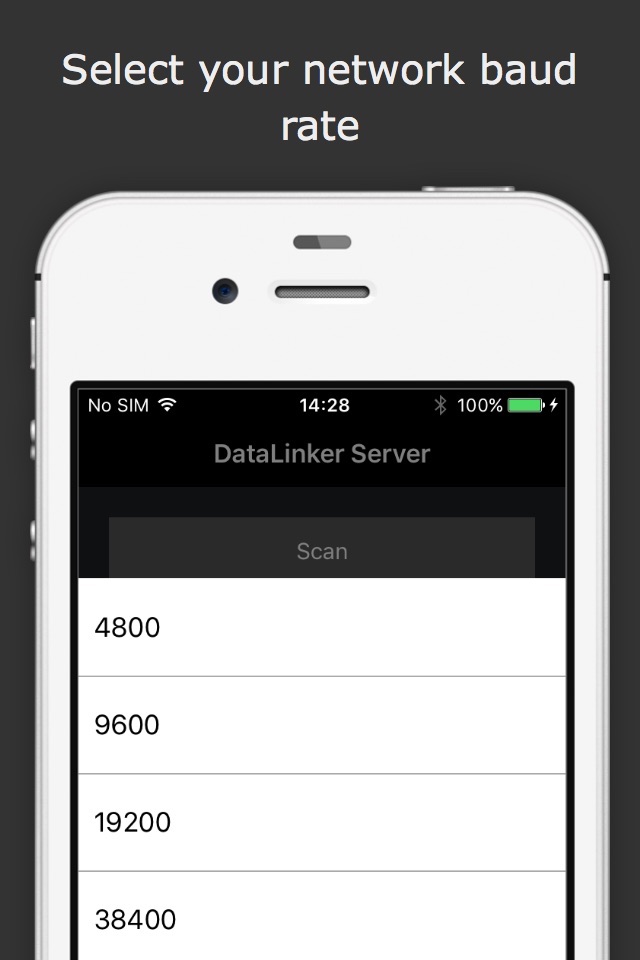 DataLinker Server screenshot 3