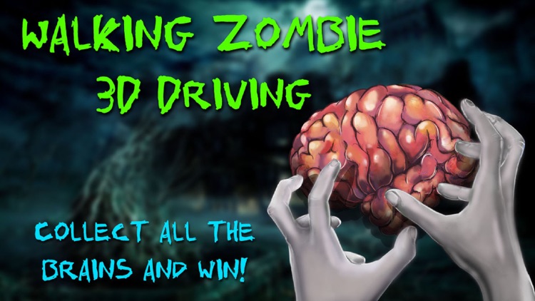 Walking Zombie 3D Driving