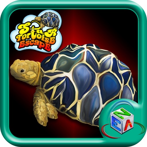 Star Tortoise Escape Icon