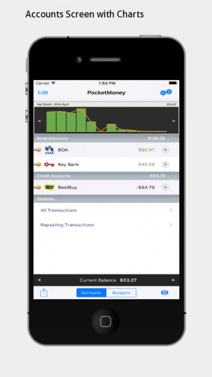 PocketMoney - checkbook, budgets, expenses