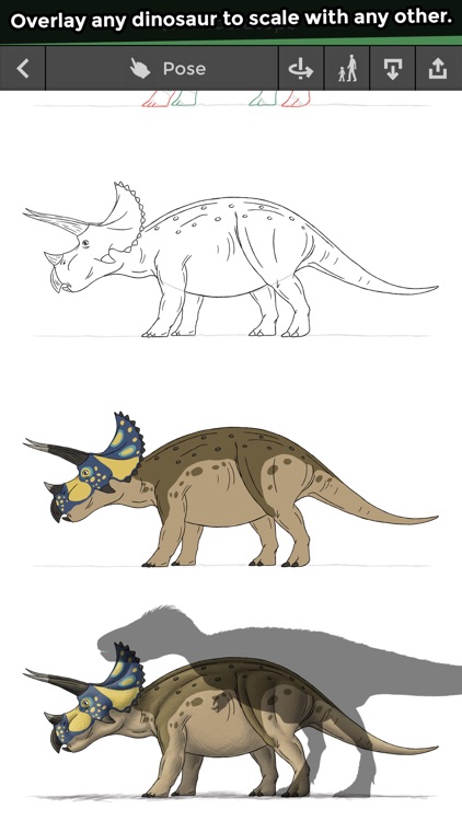 Pose & Draw Dinosaurs