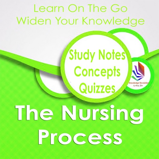 The Nursing Process icon