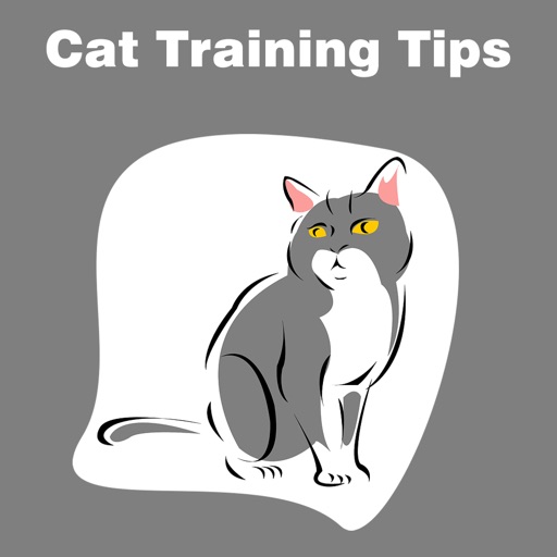 All Cat Training Tips by James Kelly