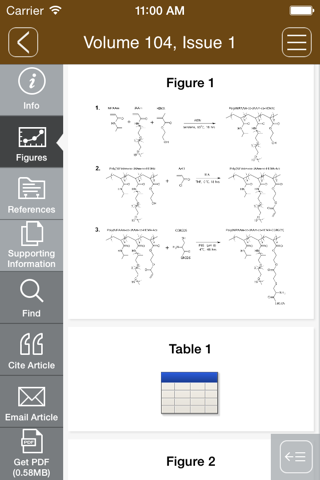 Journal of Biomedical Materials Research Part A screenshot 4