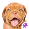 Cute Dogs & Puppies Jigsaw Puzzles : logic game for toddlers, preschool kids, little boys and girls