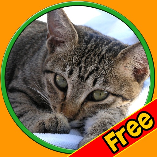 exciting cats for kids - free icon