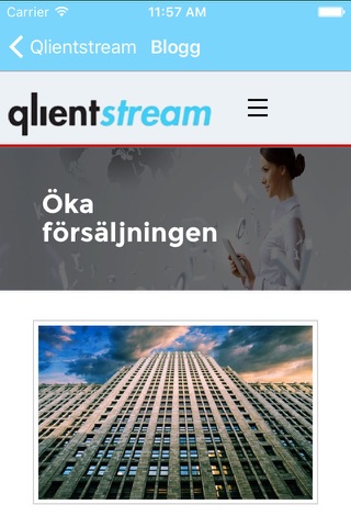Qlienstream screenshot 2