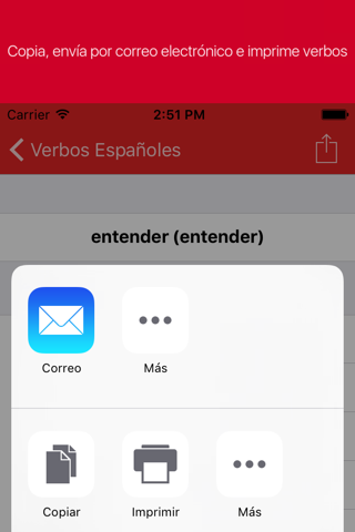 Spanish Verb Conjugator screenshot 4