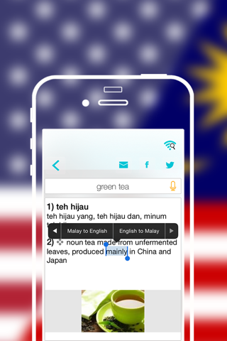 Offline Malay to English Language Dictionary, Translator - Melayu ke Bahasa Inggeris Bahasa screenshot 4