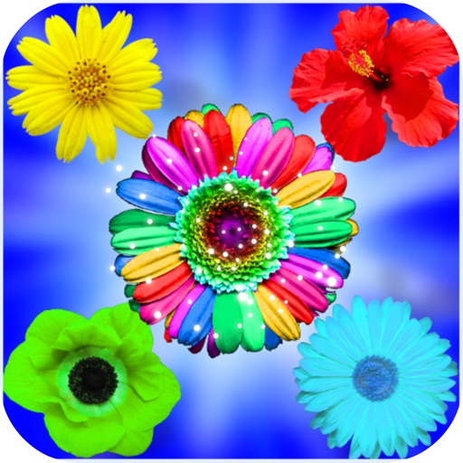 Flower Garden Mania iOS App