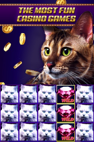 Casino Joy - Slot Machines screenshot 2
